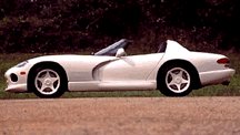 Vipers, Vipers, Vipers!